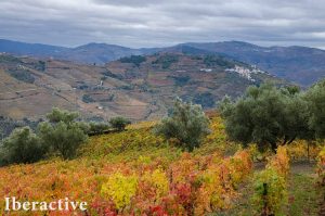 douro-valley-portugal-002