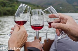 iberactive-portugal--(26)